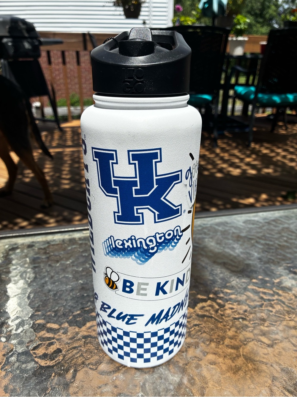 University of Kentucky White & Blue Stainless Water Bottle